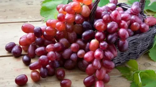 লাল আঙুর: সুস্বাদু ফলের অসাধারণ স্বাস্থ্যগুণ