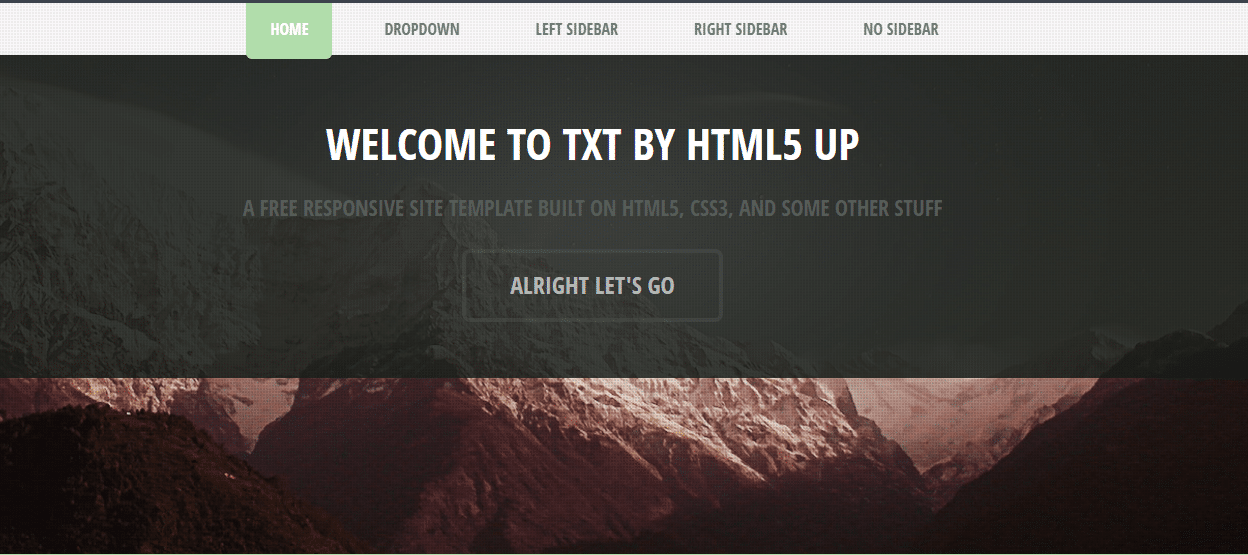 TXT Free Responsive HTML Template DesignHooks