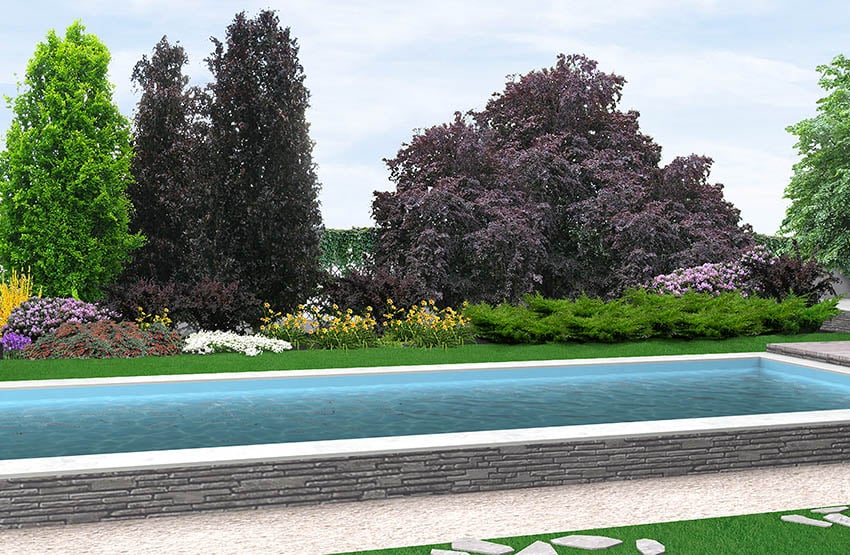 Operating the correct sized above ground pool filter in your pool will help you save money and energy. Swimming Pool Sizes Dimensions Design Guide Designing Idea