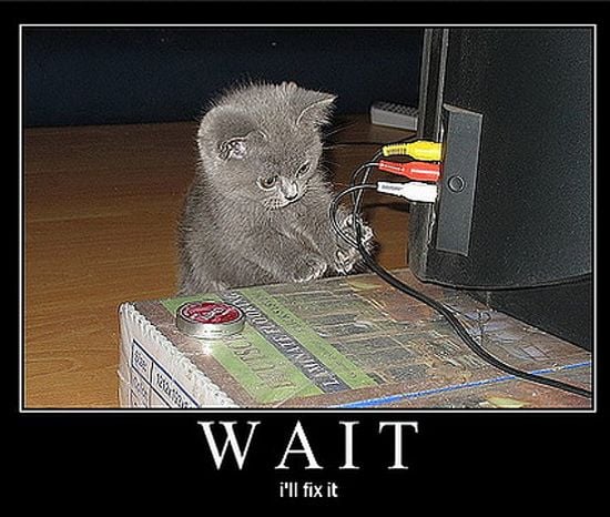 Entdecke rezepte, einrichtungsideen, stilinterpretationen und andere ideen zum ausprobieren. Cats and Dogs Playing with Computers - You Know Who Wins