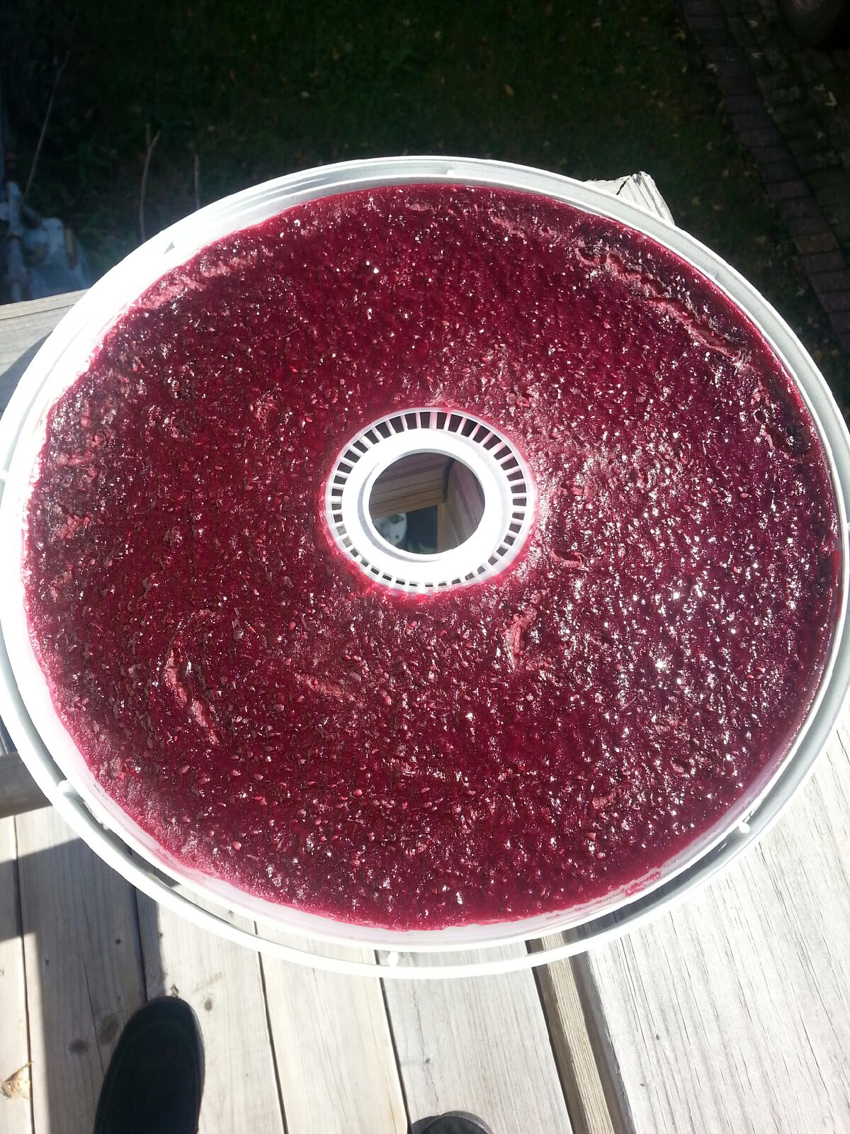 Fruit Leather Autumn Recipe Destination zero bars