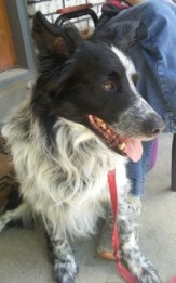 dak1 Dakotah is looking for a new family