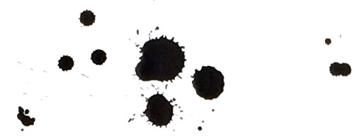 Workshop In Kalligraphie Petra Wöhrmann . Design & Lettering 195_x_500_jpg