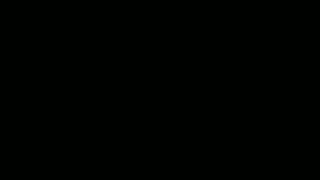 Giphy Developers