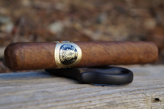 Team Cigar Review: Tatuaje Taa 2020 - Developing Palates - Cigar, Beer And Spirit Reviews And Ratings 465_x_700_jpg