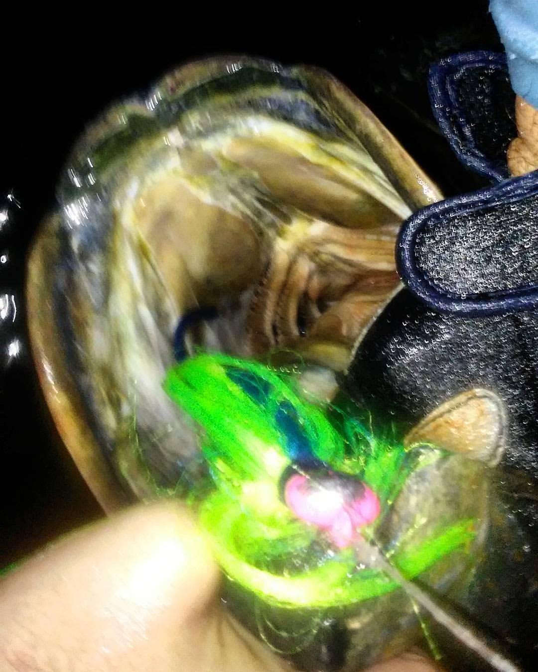 devgoesfishingtarpon-6