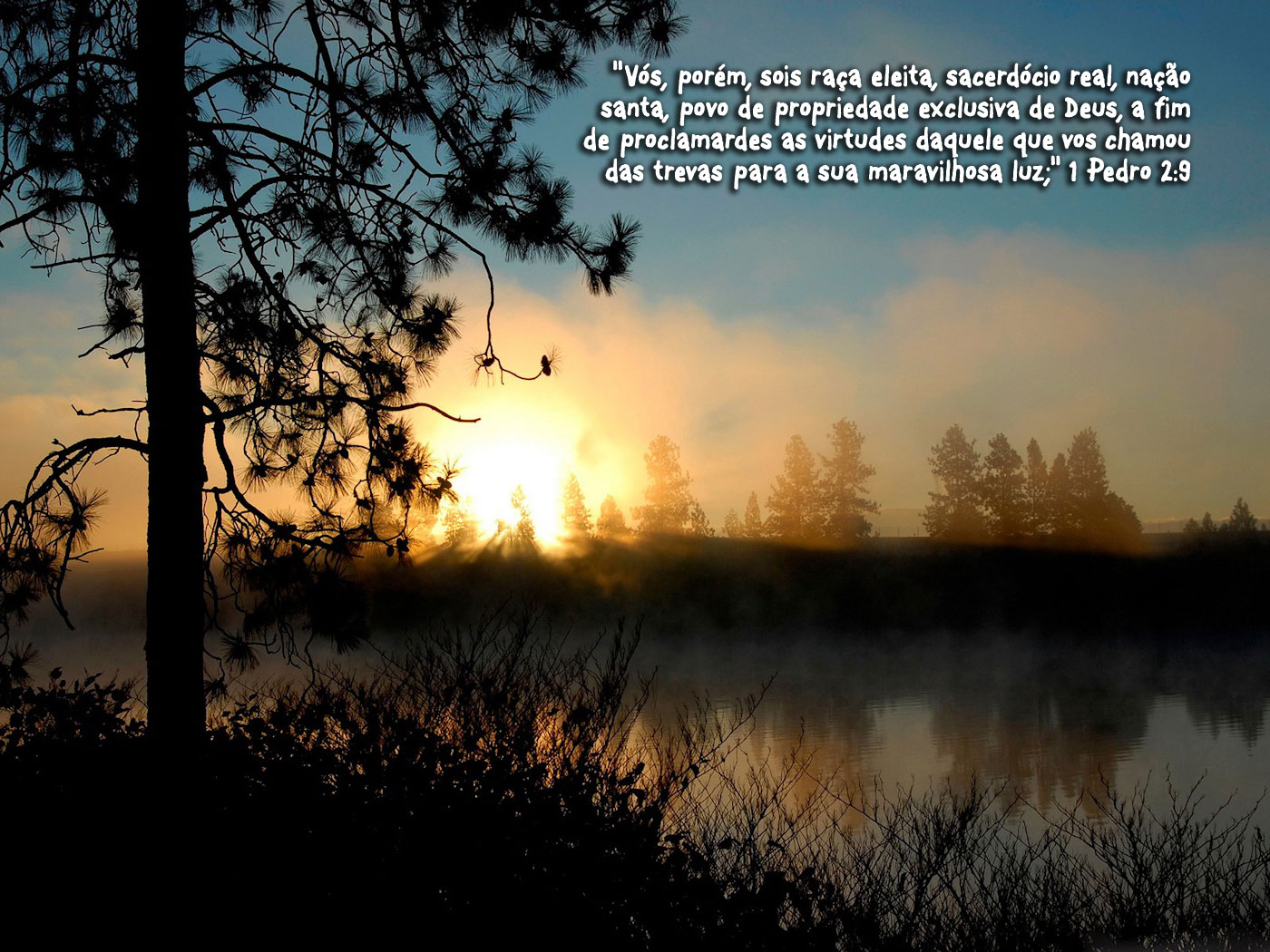 1° Pedro 2:9 | Servo de Cristo