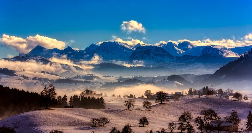 Dfge Cop 2019 Dfge Institute For Energy Ecology And Economy