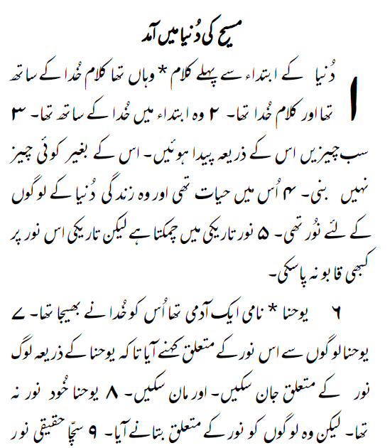 Some local churches will give bibles away for free to those who ask. The Bible In Urdu