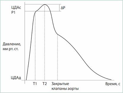 Давление крови в разных сосудах. Давление (крови) в аорте