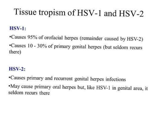 Most commonly, herpes type 1 causes sores around the mouth and lips (sometimes called fever blisters&nbsp;. Differbetween Hsv