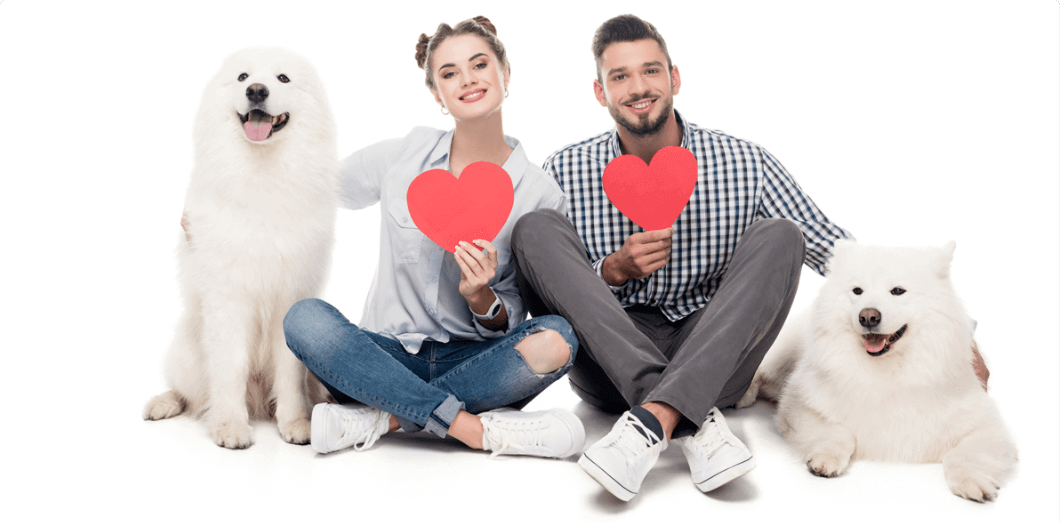 Get the best free chrome and edge extension and theme your browser with your favorite heros. Puppi Lovers Dog Dating App Digiground Meet Dog Owners