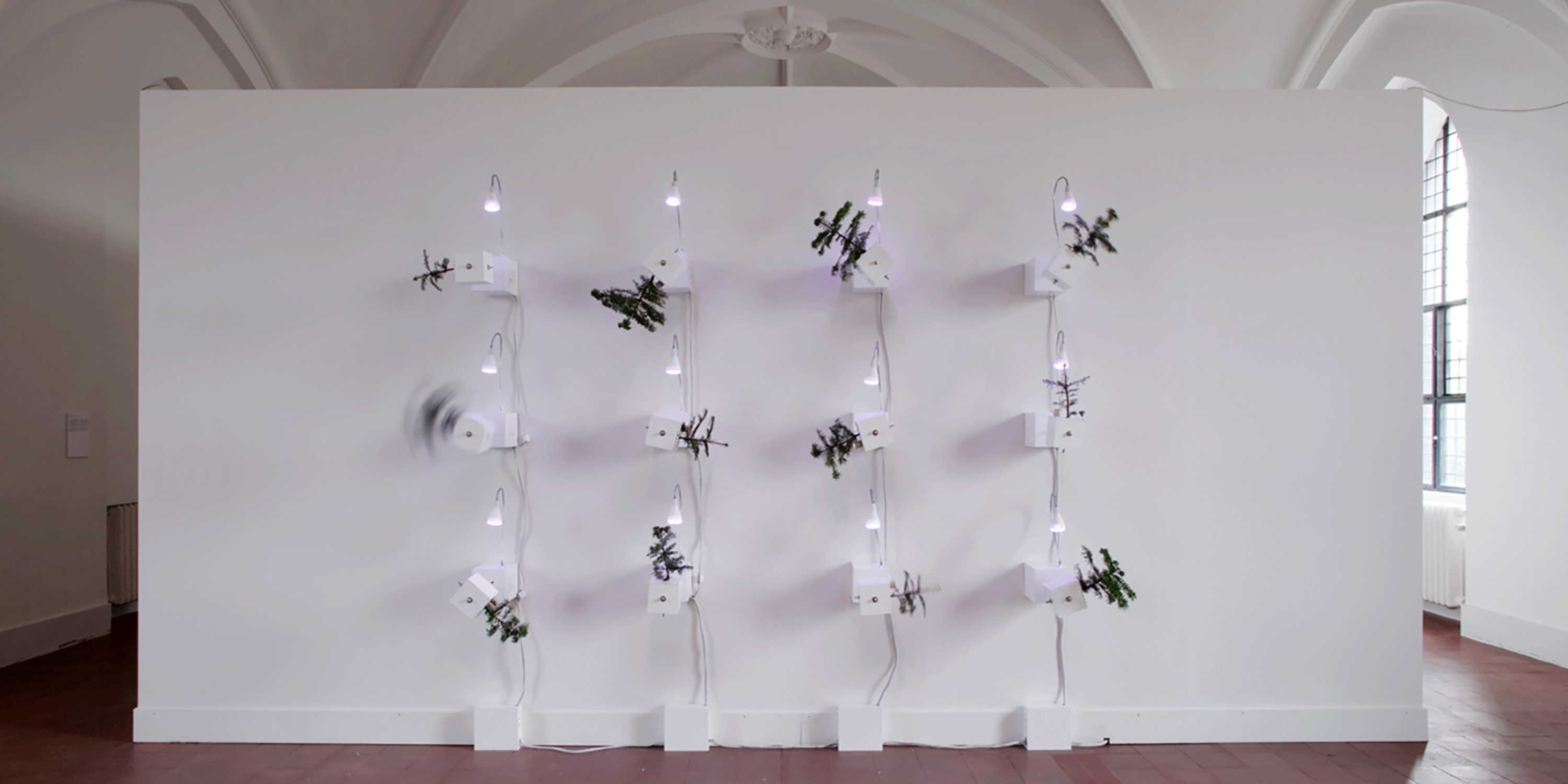 Laura Beloff, The Condition (2016)