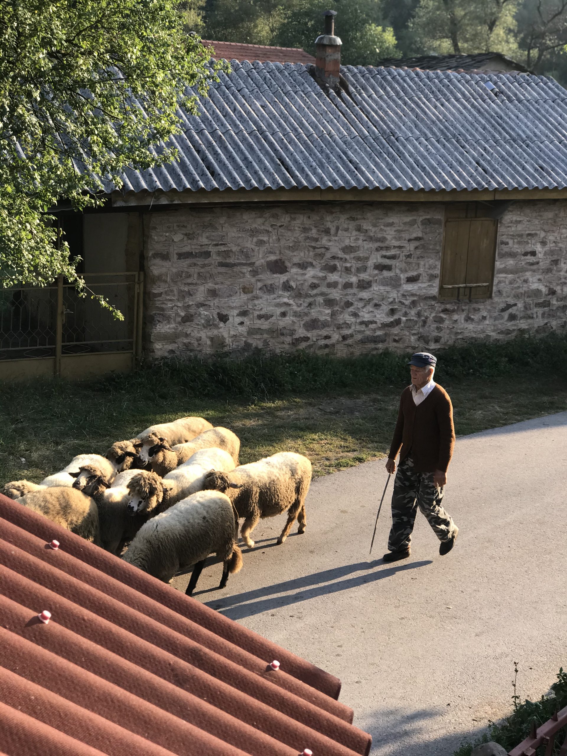 Ideja za vikend avanturu: Stara planina