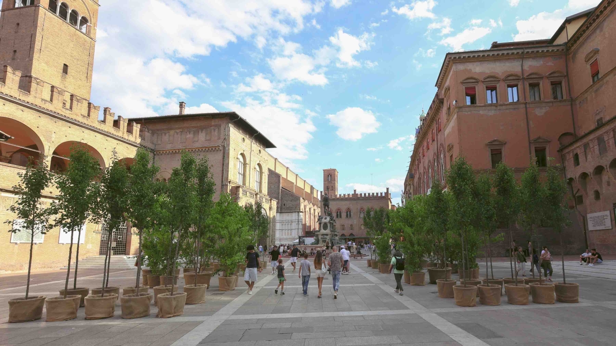 Bologna fa la fronda sugli alberi: un alberello da 1.200 euro l’uno per il greenwashing a cinque stelle di Lepore