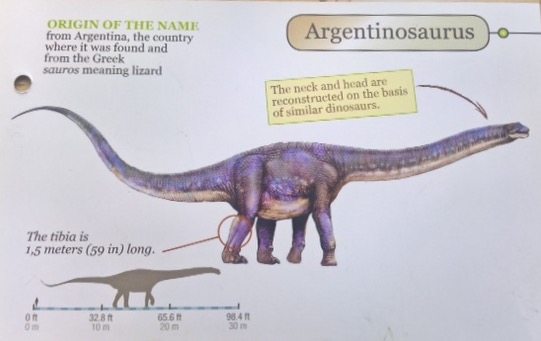 argentinosaurus figure