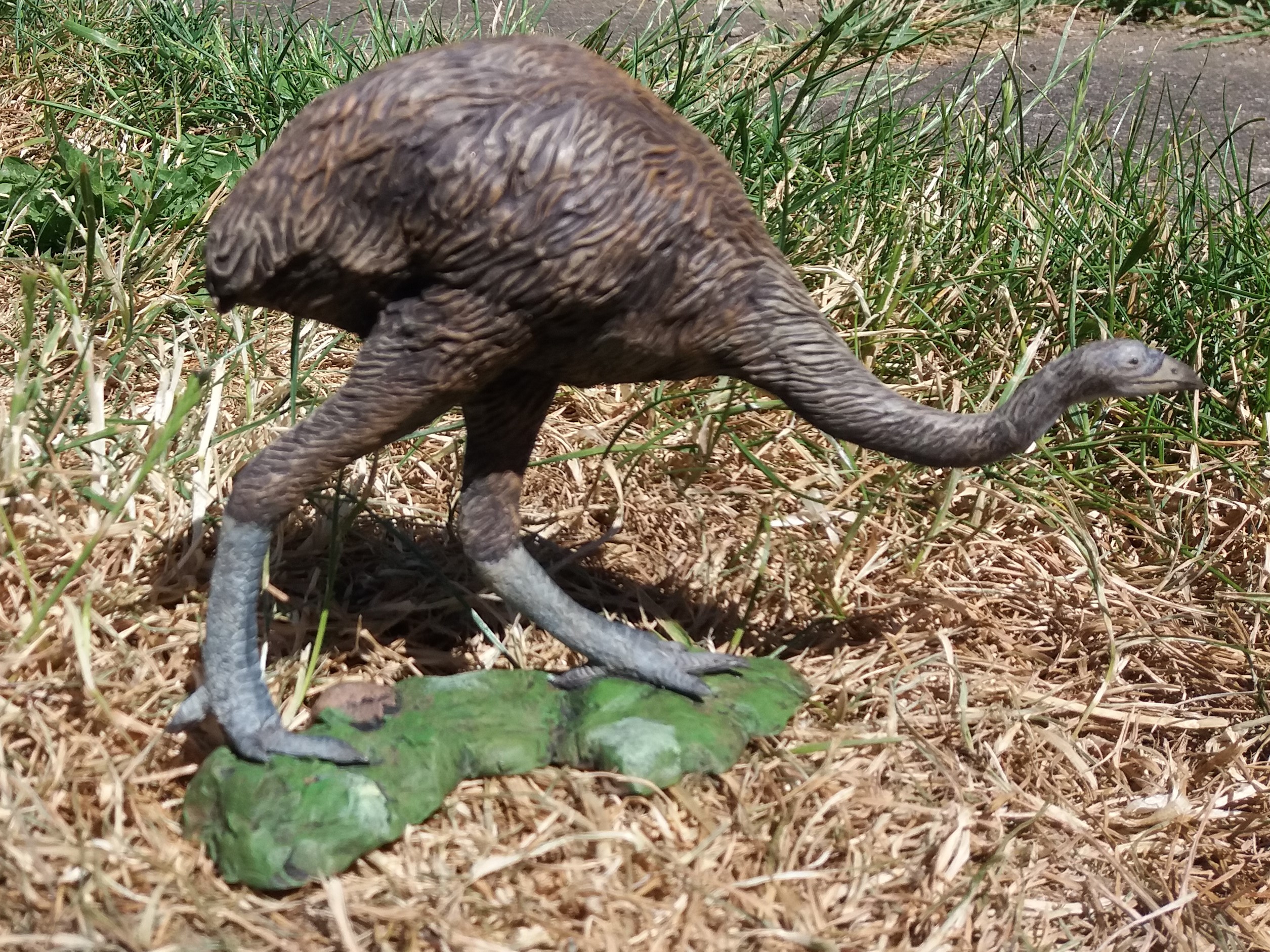 Giant Moa Signatu Studio Dinosaur Toy Blog