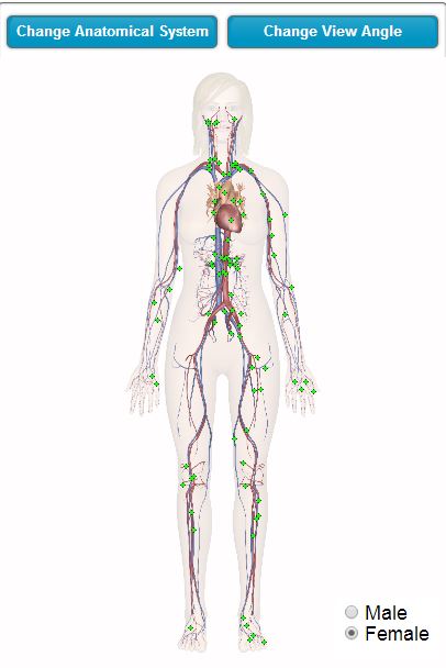 Read these articles to find out how immunity and the immune system work. Interactive Body Discoro