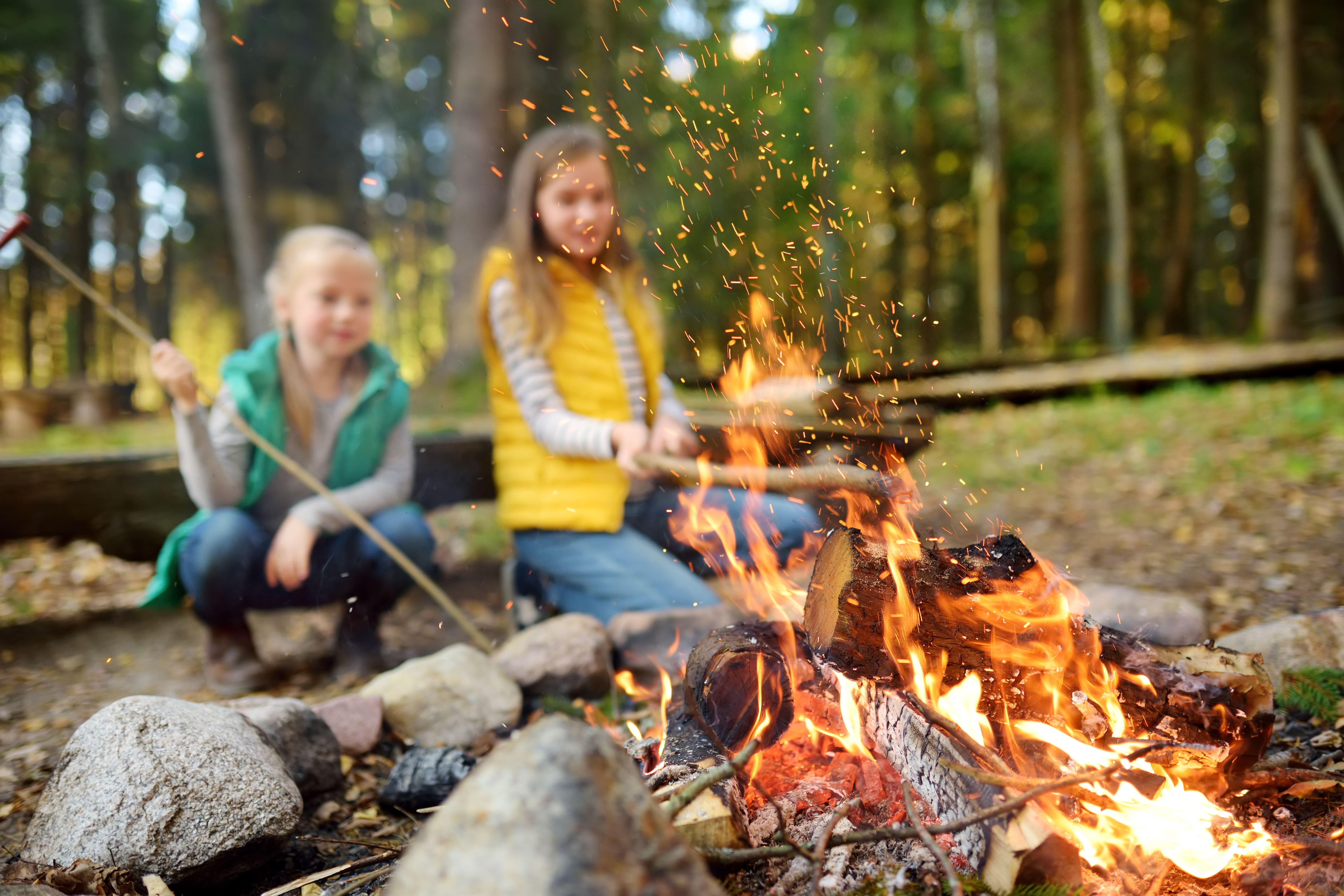 Cute young sisters roasting hotdogs on sticks at bonfire. Children