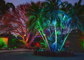 American lung association's lung force unites women and their loved ones across the country to stand together for lung health and against lung cancer. South Coast Botanic Garden's GLOW - Discover Torrance