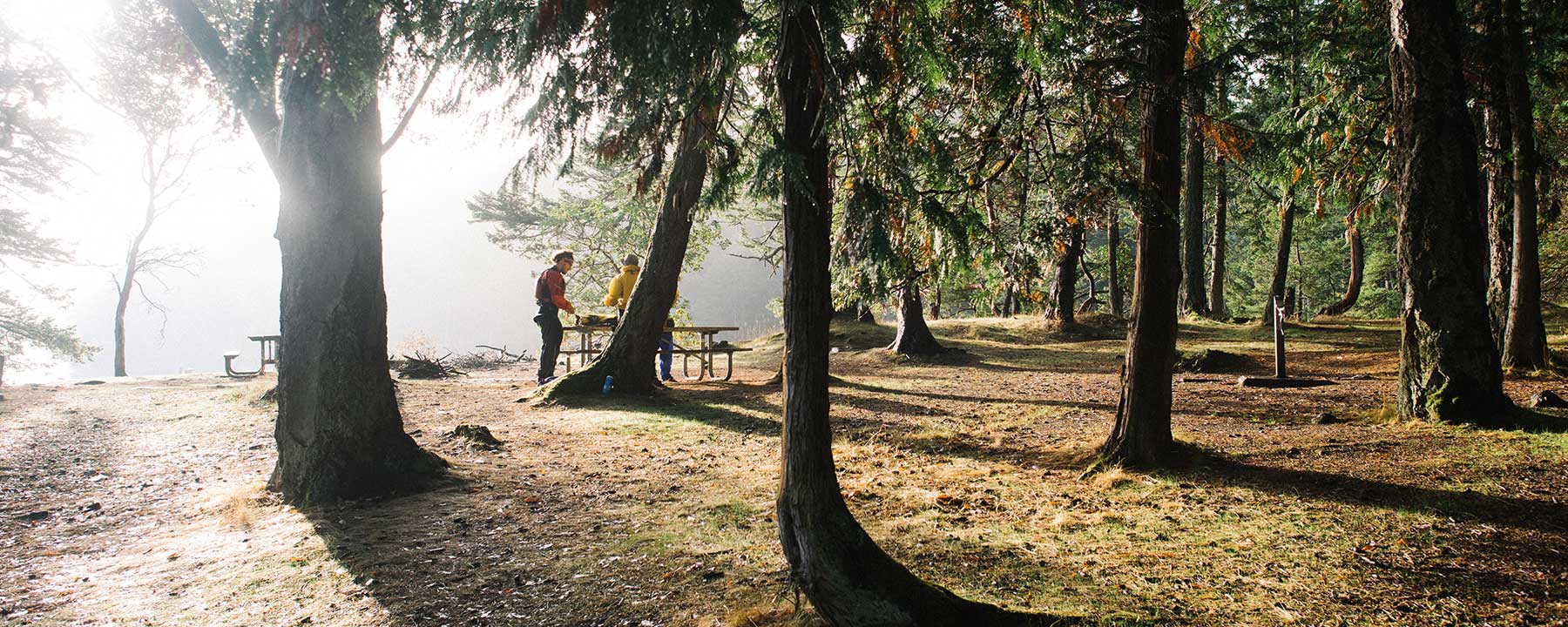 Explore the diverse and stunning ionian . 2 Day San Juan Kayak & Camping Tours - Discovery Sea Kayaks