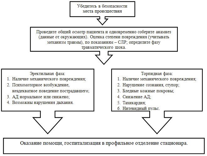 Тромбоцитопеническая пурпура у новорожденных. Симптомы тромбоцитопенической пурпуры у детей. Причины развития тромбоцитопенической пурпуры