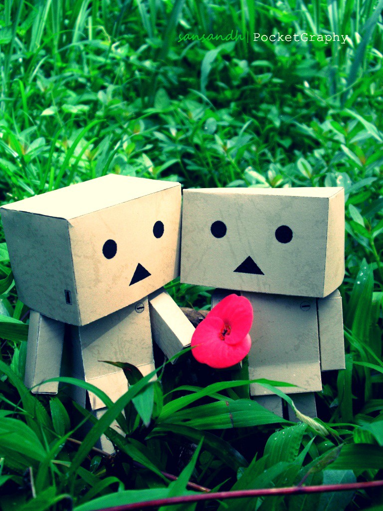 Beli boneka danbo online aman. Fotografi Wallpaper Ciamik Bermodal Camdig Page 5 Kaskus
