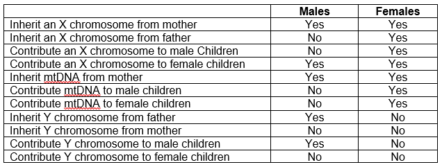 x matching and mitochondrial dna is not