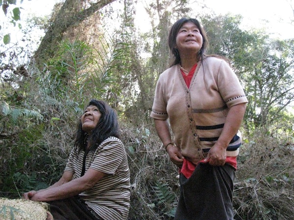 Those who didn’t were called cayua, or “those from the jungle.”. Language Dobes