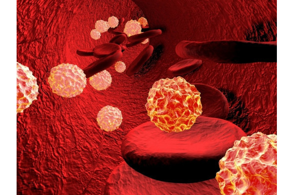Astept analizele la 3 luni si apoi viremia de 6 luni de la terminare. Incarcatura Virala Viremia In Hepatita C