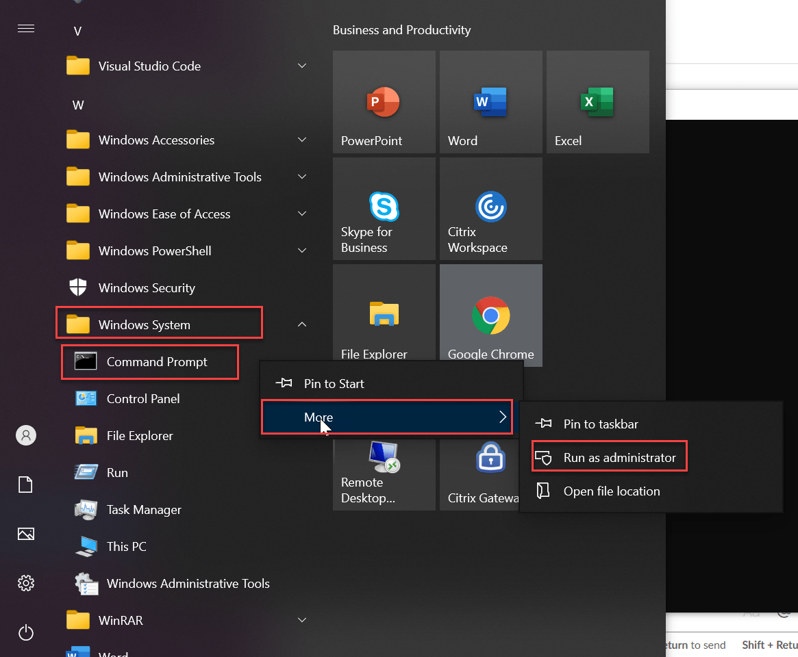Cara Budidaya Bunga untuk Pemula: Tips Simpel agar Hasil Maksimal