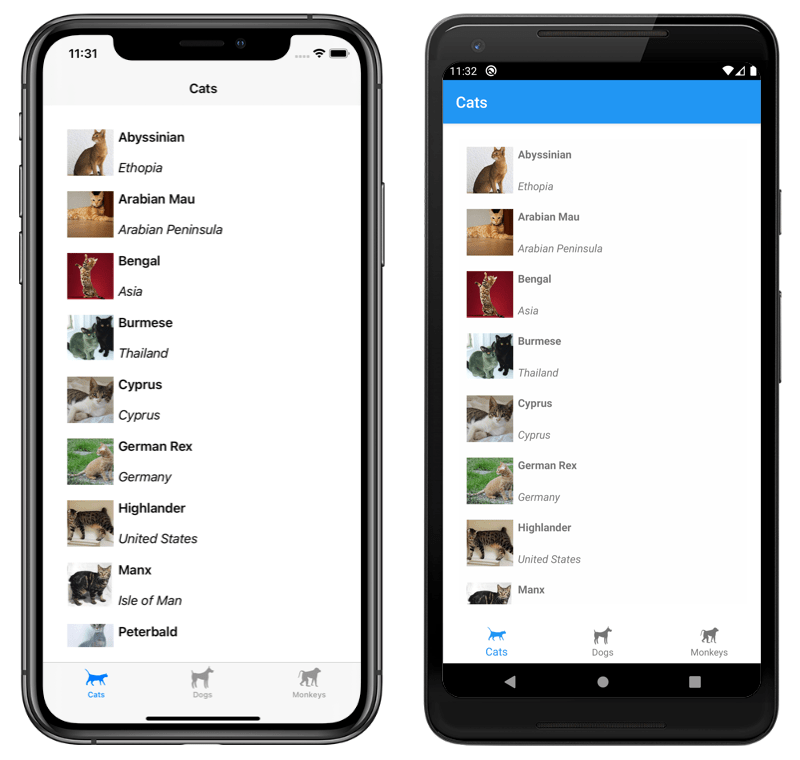 During a flame test, a lithium salt produces a characteristic red flame. Xamarin Forms Shell Pages Xamarin Microsoft Docs