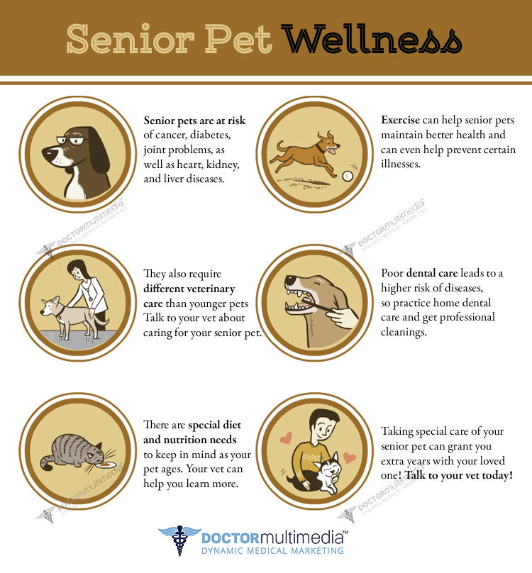 They're our furry family members. Veterinary Infographics | Medical Websites & Healthcare Marketing