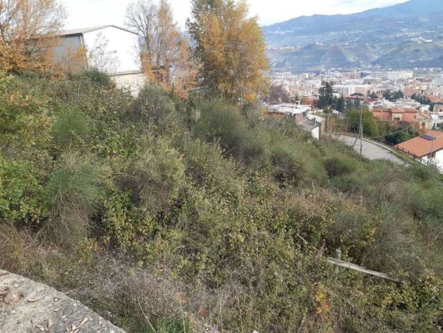 Asta giudiziaria Terreno Via Samuele Spizzirri e Tommaso Arnoni, 87100 Cosenza CS