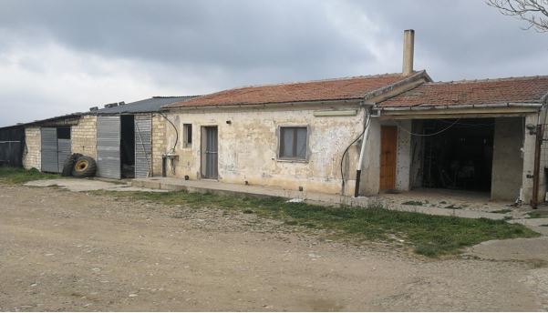 Asta giudiziaria Magazzino C/da Boreano, 85029 Venosa PZ