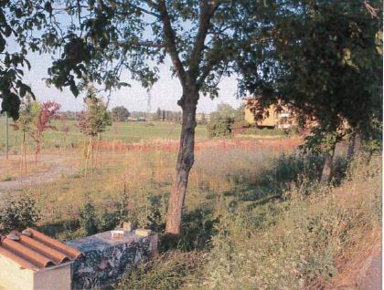 Judicial auction Land Localita’ Borgotrebbia strada dell’Aguzzafame snc, 29122 Piacenza PC