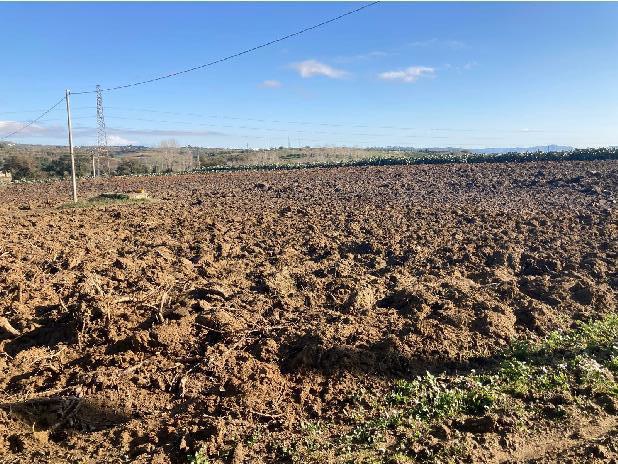 Asta giudiziaria Terreno Via C.DA CAMEMI ELSA SNC, 94015 Piazza Armerina EN