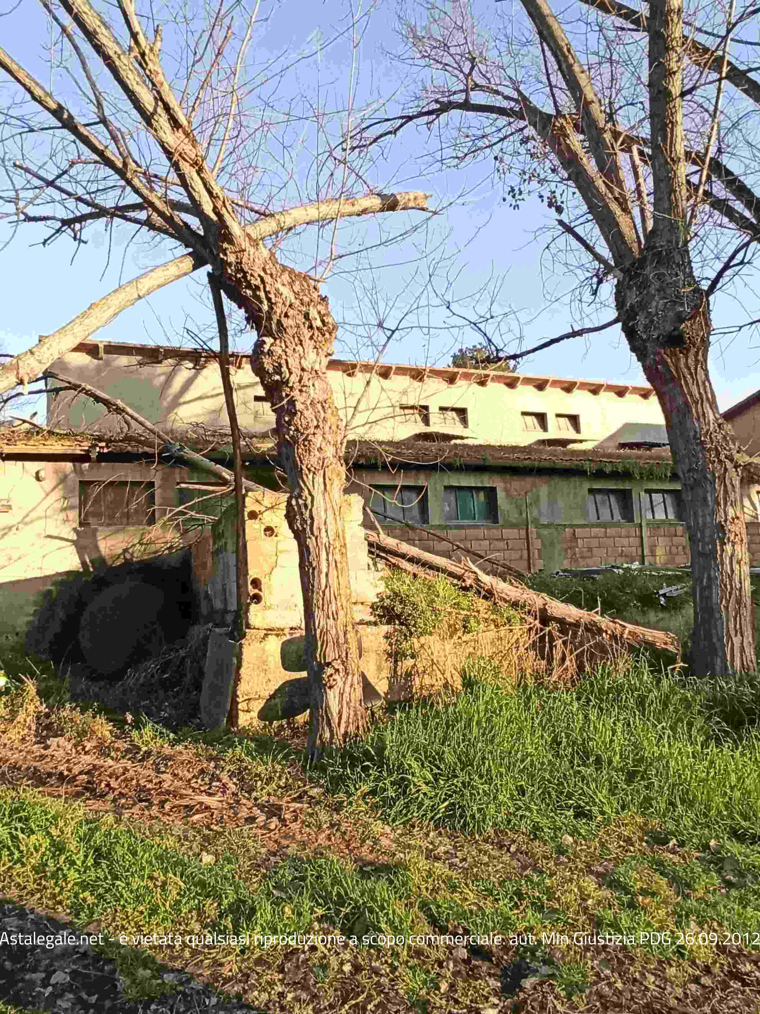 Asta giudiziaria Terreno Contrada Bore di Tenna 12, 63023 Fermo FM