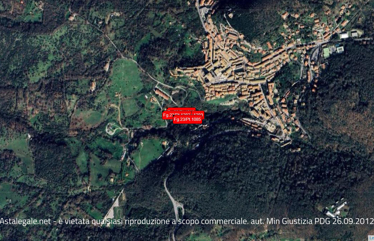 Asta giudiziaria Terreno Localita’ La Bolzella, snc 00051 Allumiere RM