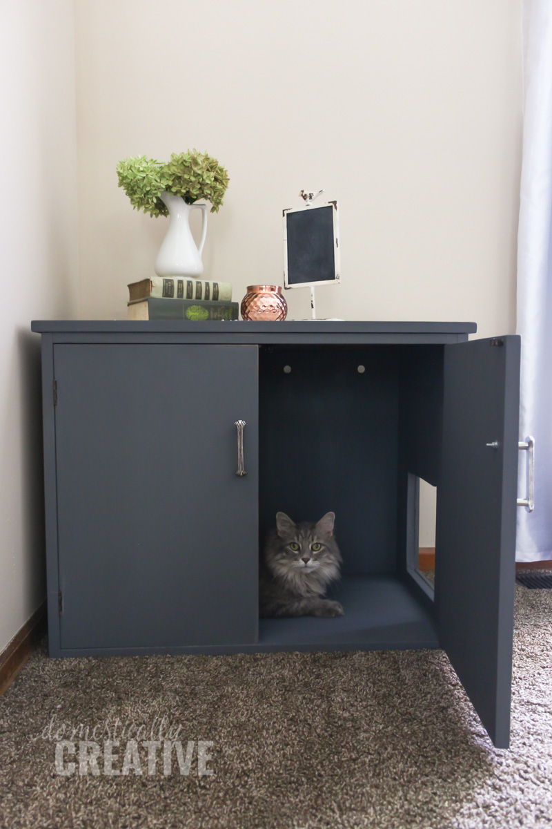 If you have then you know about sore knees and back from bending over to clean up the refuse of others. Diy Litter Box Cabinet Domestically Creative
