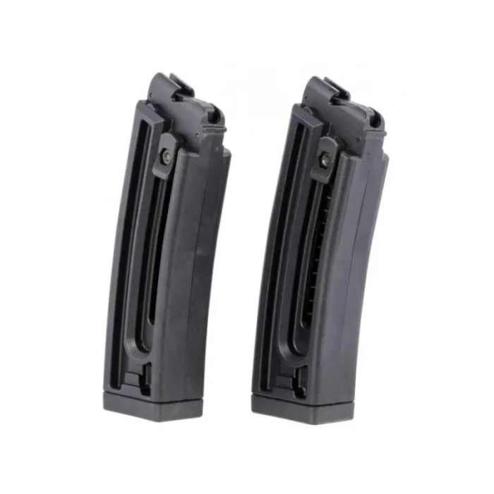 Gsg gsg-16 .22lr 22 round magazine twin pack