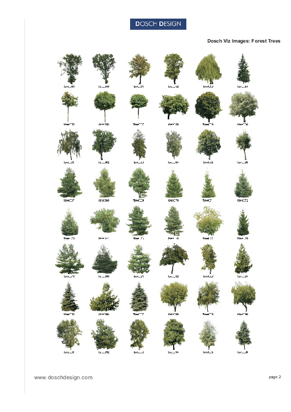A british columbia rainforest, where douglas firs soar more than 160 feet, supports 23 native tree species. Dosch Design Dosch 2d Viz Images Forest Trees