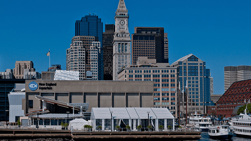 Home » in home care » in home care boston, ma boston is an expensive city to live in, inc. New England Aquarium Whale Watch Downeaster Vacation Travel Packages To Maine Boston And Nova Scotia