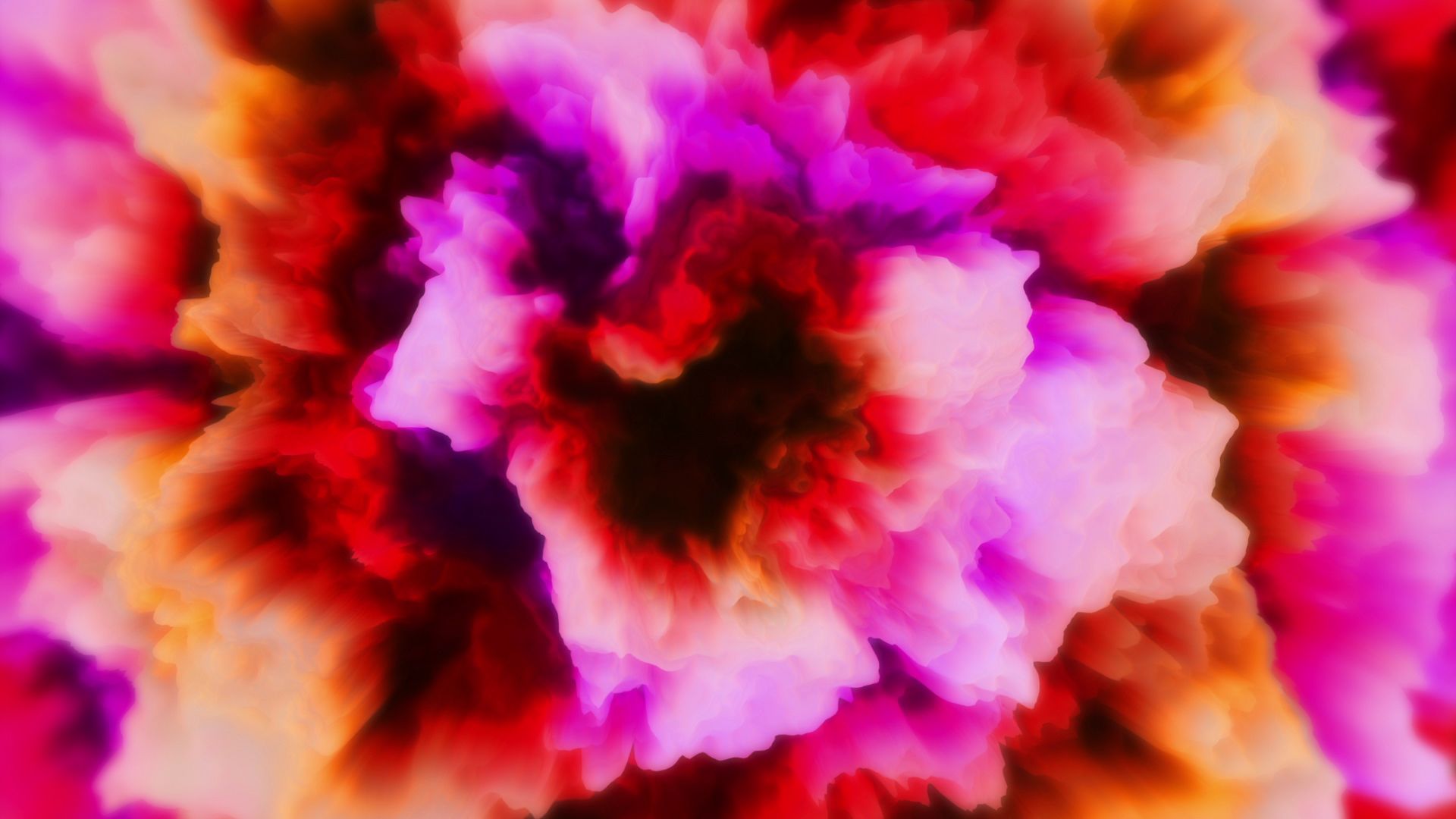You are going to love this one. Tag Flower Downloops Creative Motion Backgrounds