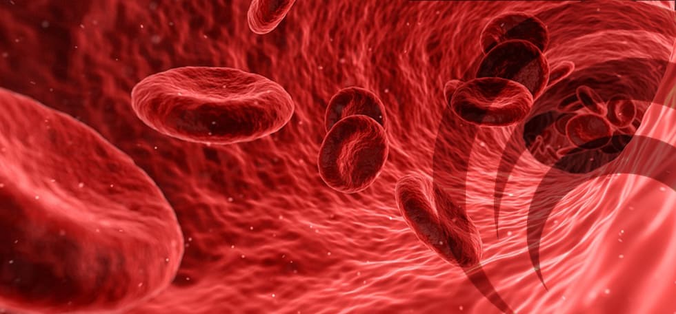 Impaired Tissue Perfusion D OXYVA
