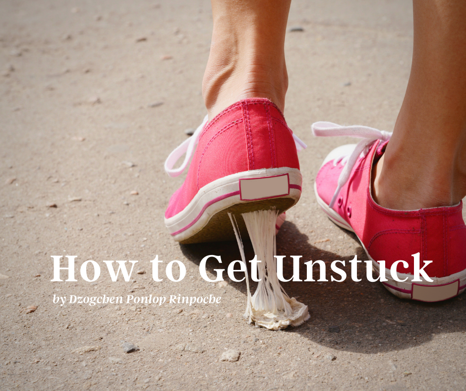 Pink tennis shoe stuck to gum on road