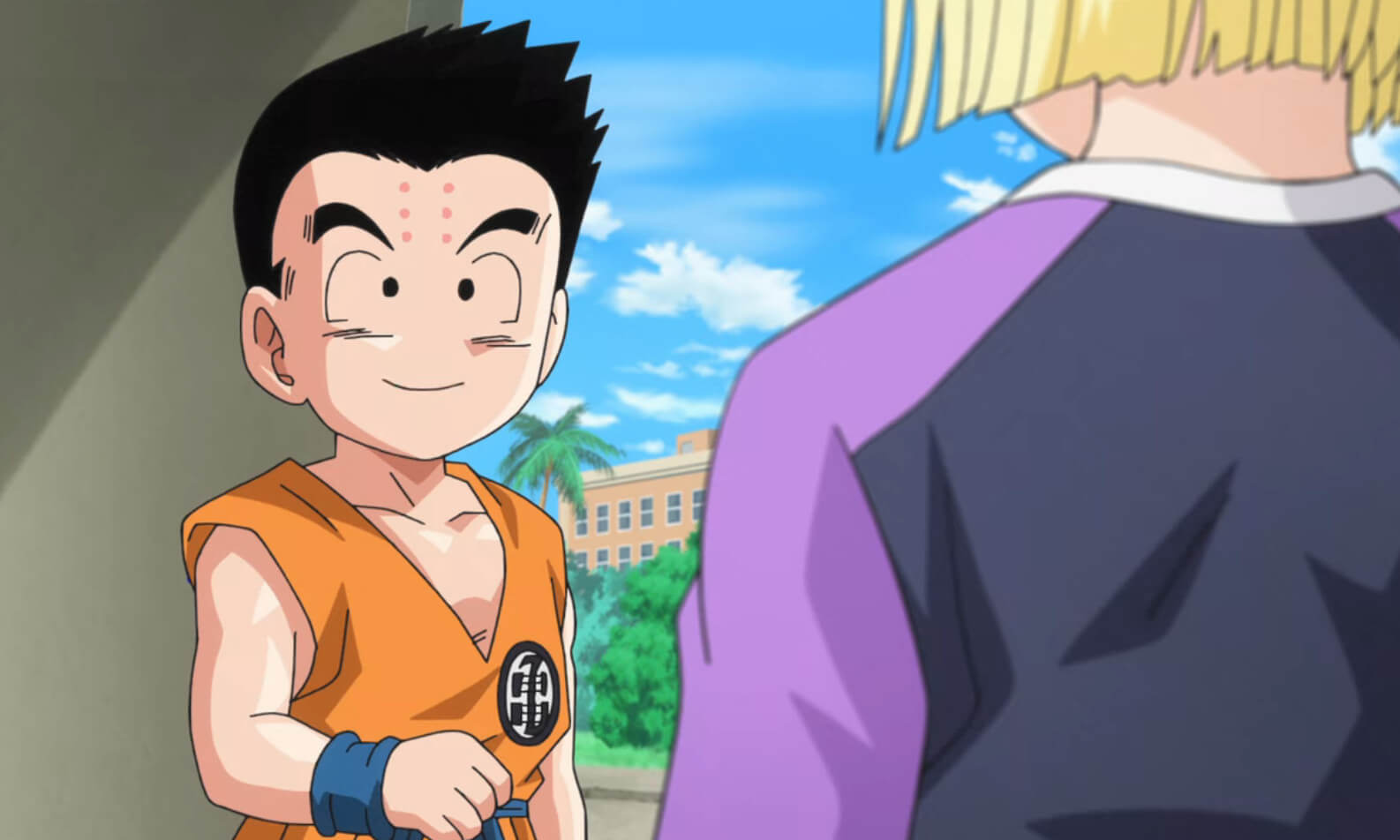 pics Krillin And Android 18 why did android 18 marry krillin dragon ball guru
