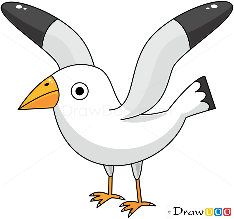 Huge collection, amazing choice, 100+ million high quality, affordable rf and rm images. How To Draw Seagull Birds
