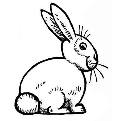 Learn how to draw a bunny face, and then turn it into a line drawing project. How To Draw Bunnies With Easy Bunny Rabbits Drawing Lesson How To Draw Step By Step Drawing Tutorials