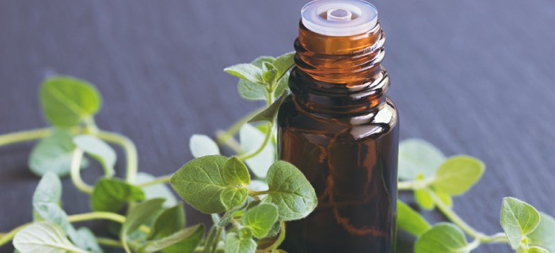 Apple cider vinegar has long been used for a variety of purposes, from cooking food to treating conditions. Diy Wart Remover Wart Removal With Frankincense Lemon Essential Oils Dr Axe